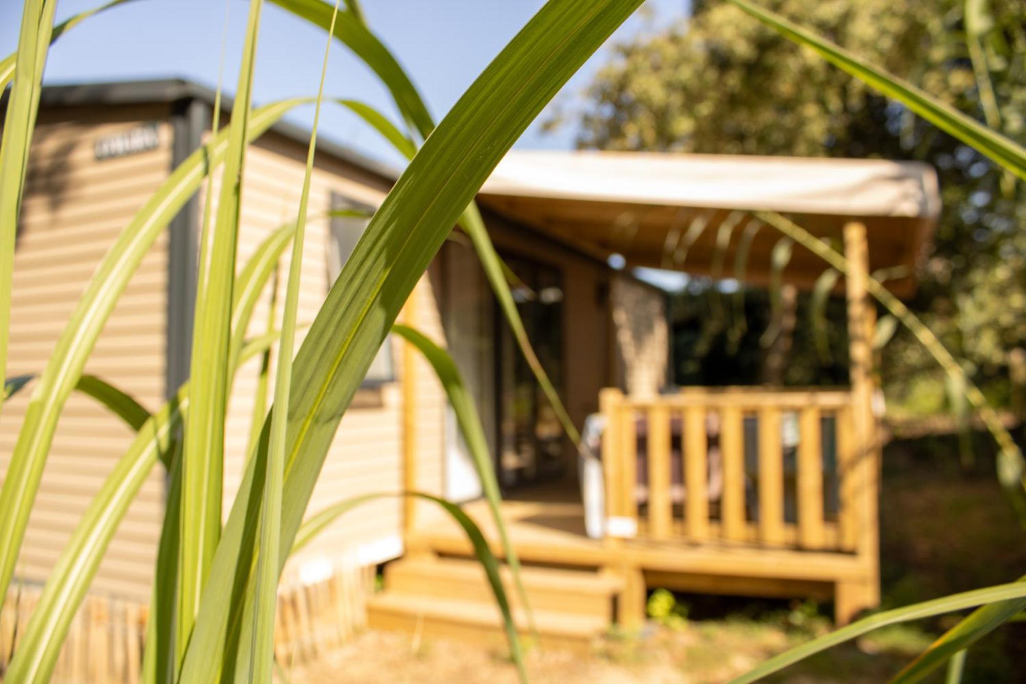 Camping Le Bois Verdon แซ็งต์-ฌอง-เดอ-มองต์ ภายนอก รูปภาพ