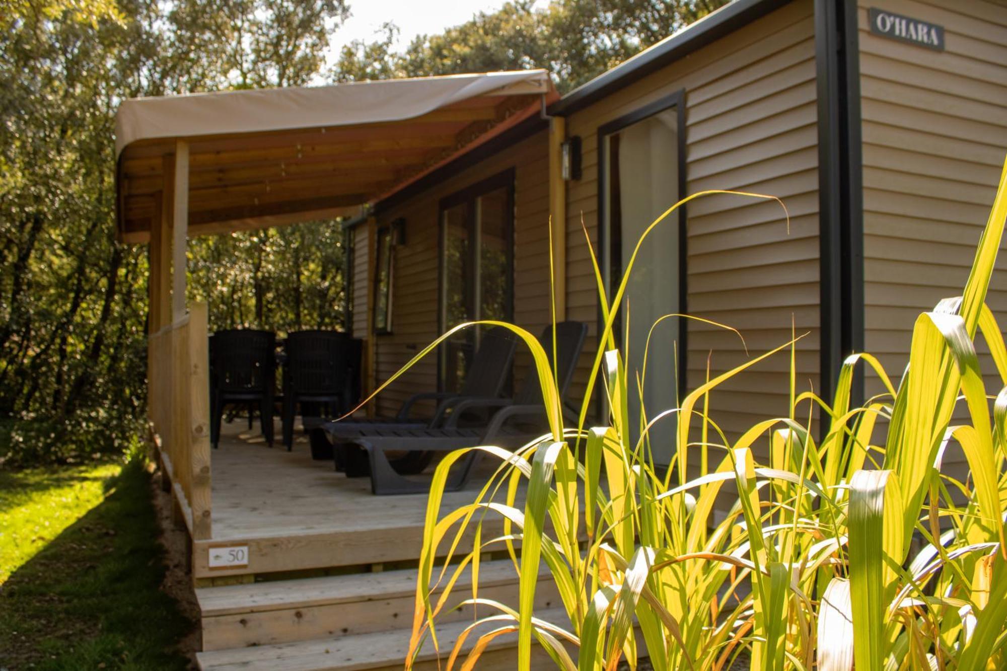 Camping Le Bois Verdon แซ็งต์-ฌอง-เดอ-มองต์ ภายนอก รูปภาพ