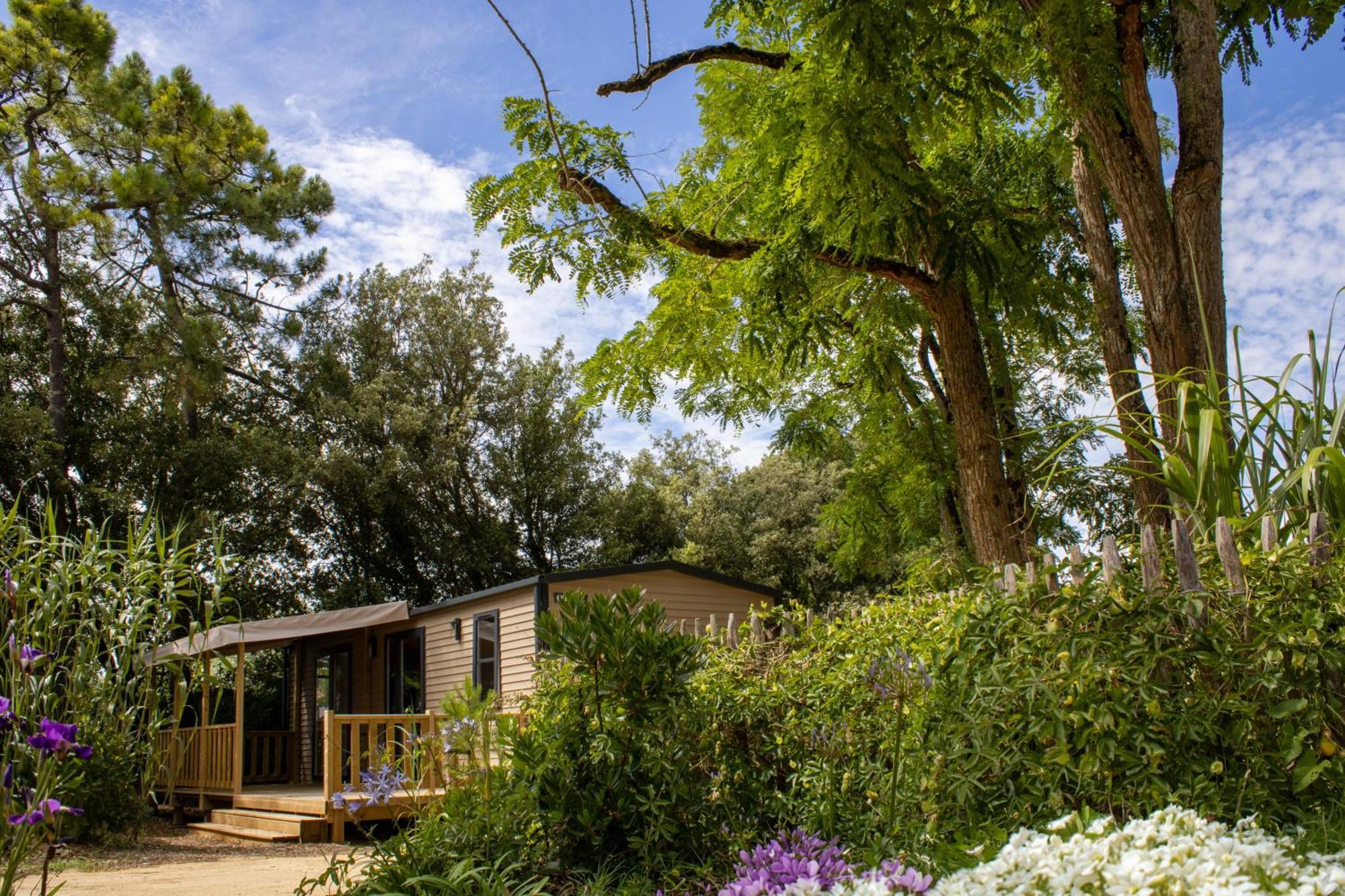 Camping Le Bois Verdon แซ็งต์-ฌอง-เดอ-มองต์ ภายนอก รูปภาพ