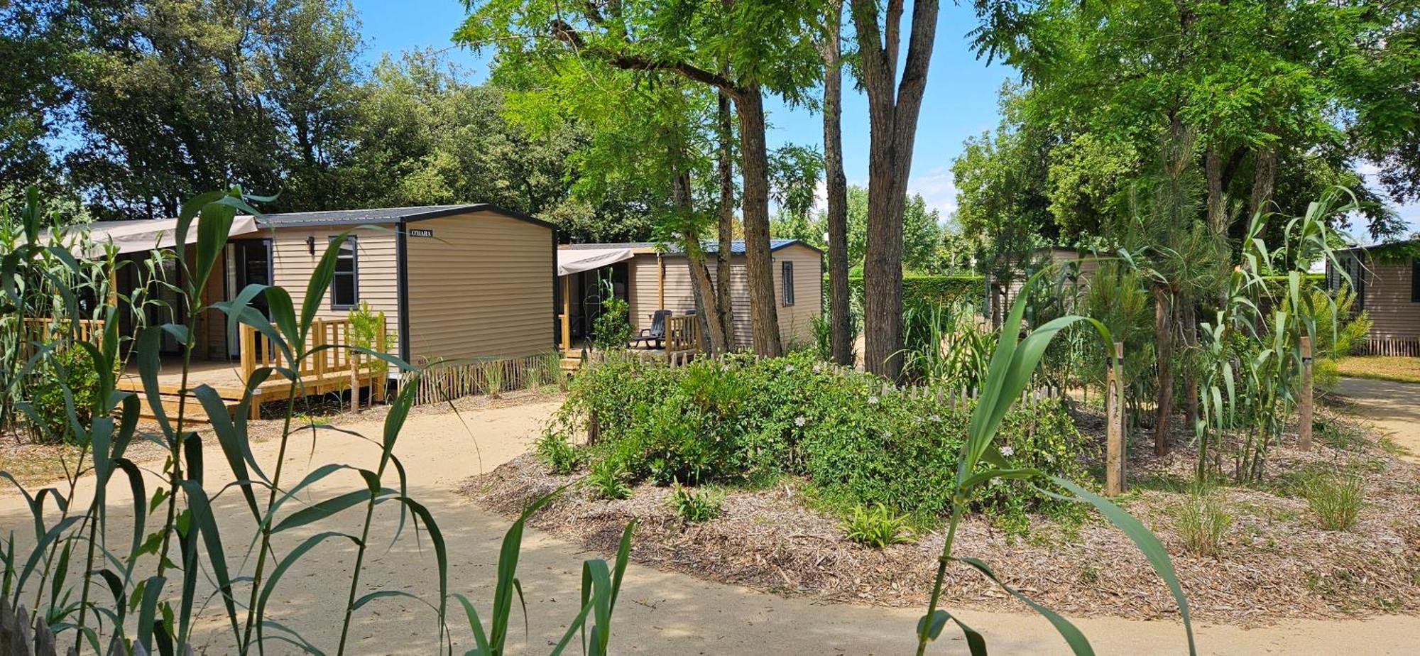 Camping Le Bois Verdon แซ็งต์-ฌอง-เดอ-มองต์ ภายนอก รูปภาพ