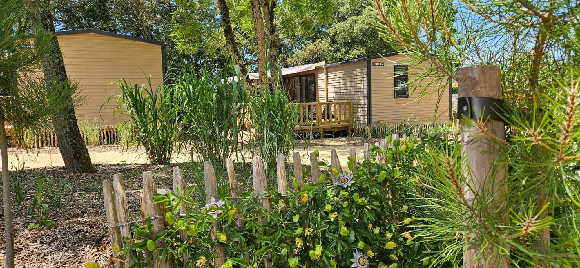 Camping Le Bois Verdon แซ็งต์-ฌอง-เดอ-มองต์ ภายนอก รูปภาพ