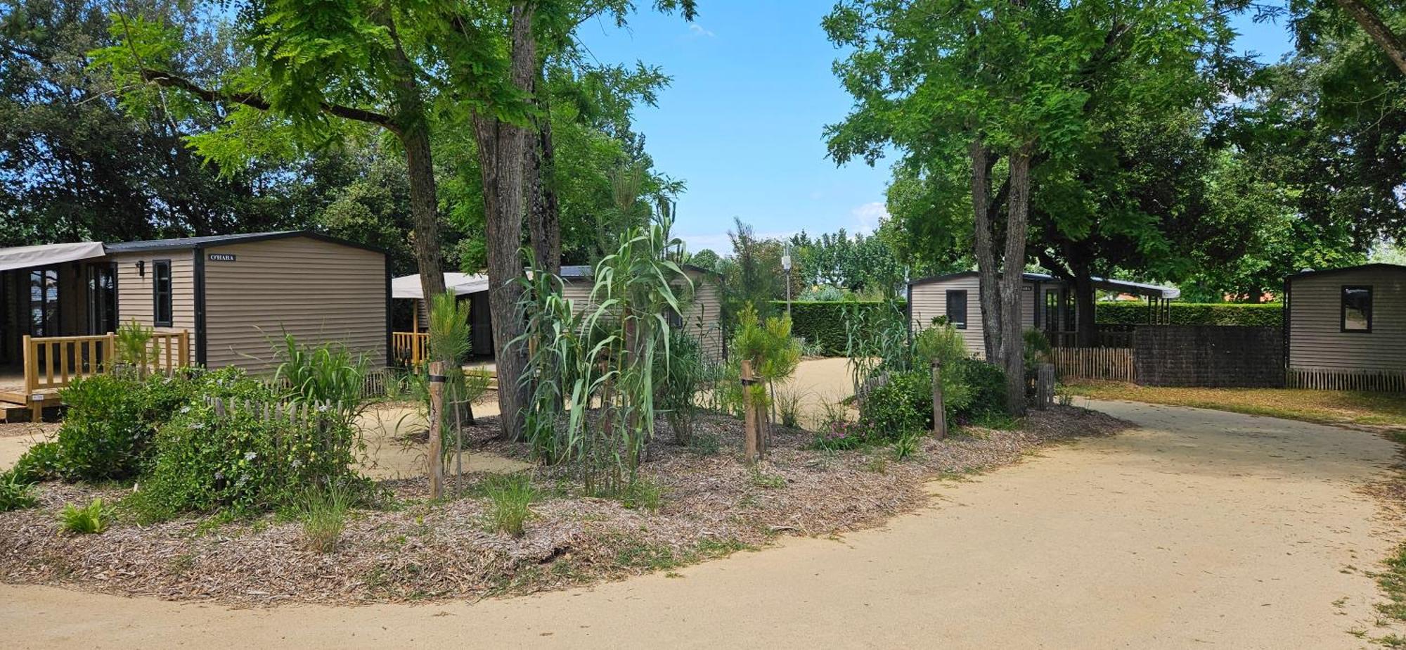 Camping Le Bois Verdon แซ็งต์-ฌอง-เดอ-มองต์ ภายนอก รูปภาพ