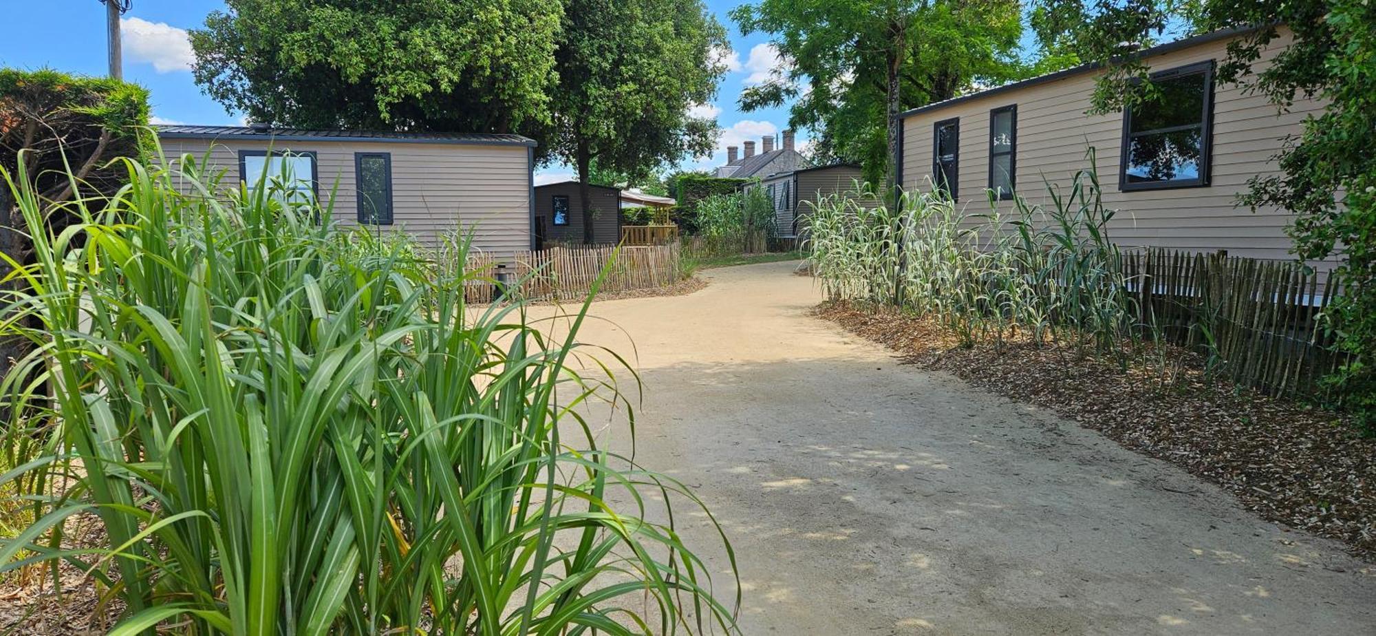 Camping Le Bois Verdon แซ็งต์-ฌอง-เดอ-มองต์ ภายนอก รูปภาพ