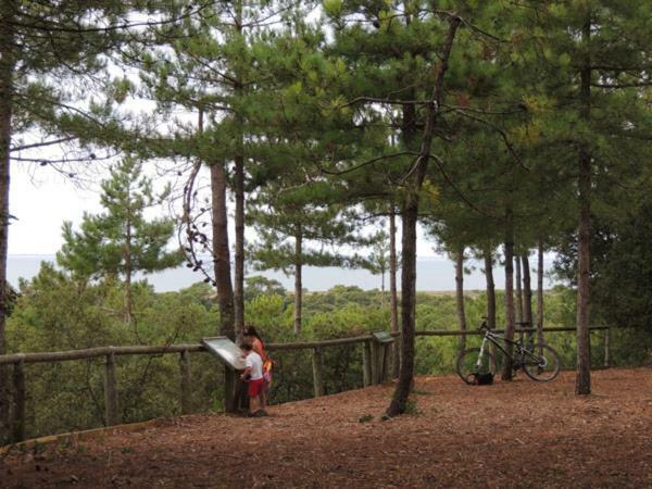 Camping Le Bois Verdon แซ็งต์-ฌอง-เดอ-มองต์ ภายนอก รูปภาพ